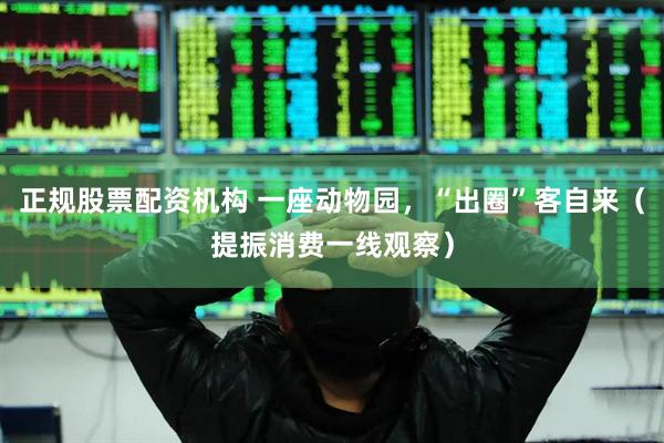 正规股票配资机构 一座动物园，“出圈”客自来（提振消费一线观察）