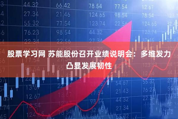股票学习网 苏能股份召开业绩说明会：多维发力凸显发展韧性