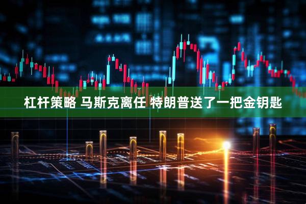 杠杆策略 马斯克离任 特朗普送了一把金钥匙
