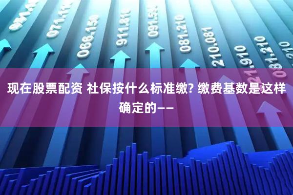 现在股票配资 社保按什么标准缴? 缴费基数是这样确定的——