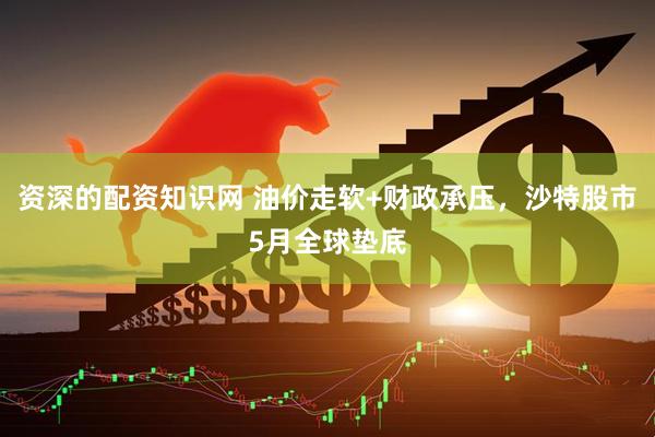 资深的配资知识网 油价走软+财政承压，沙特股市5月全球垫底