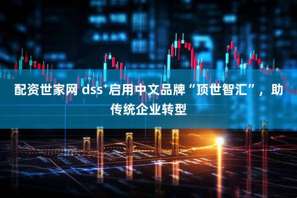 配资世家网 dss⁺启用中文品牌“顶世智汇”，助传统企业转型